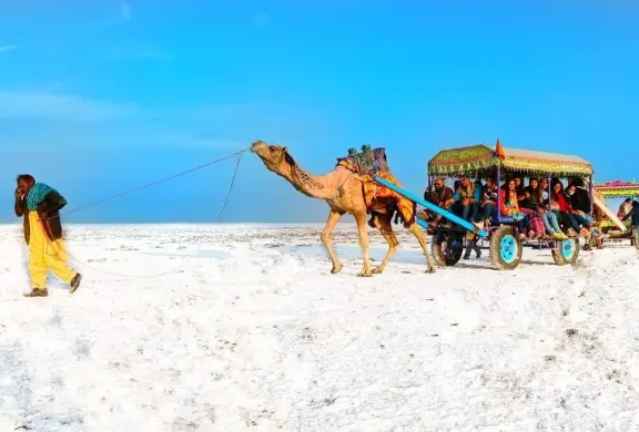 Camel safari assistance near Road to Heaven Resort, Kutch